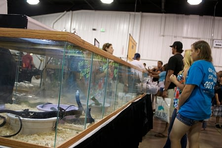 reptile events near me